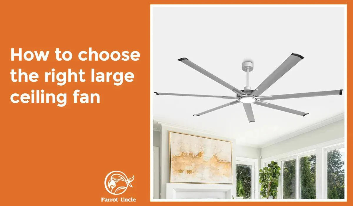 How to Choose The Right Large Ceiling Fan -Parrot Uncle