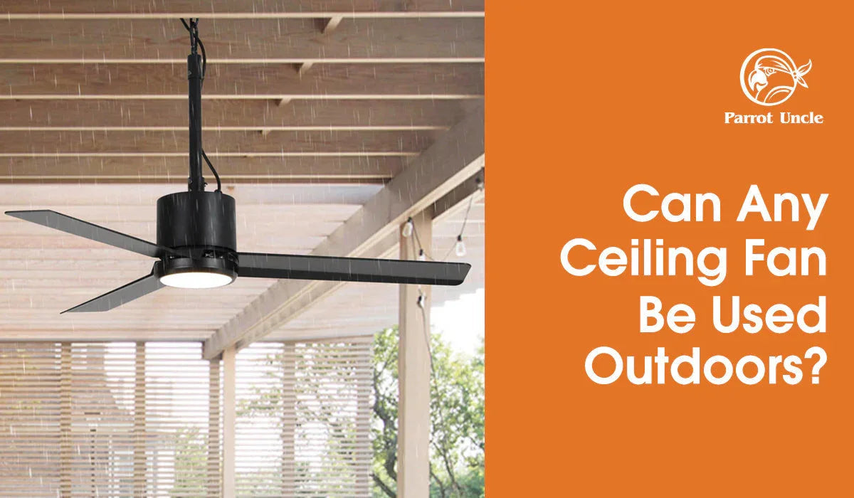 Outdoor Ceiling fans: Can Any Ceiling Fan Be Used Outdoors? -Parrot Uncle