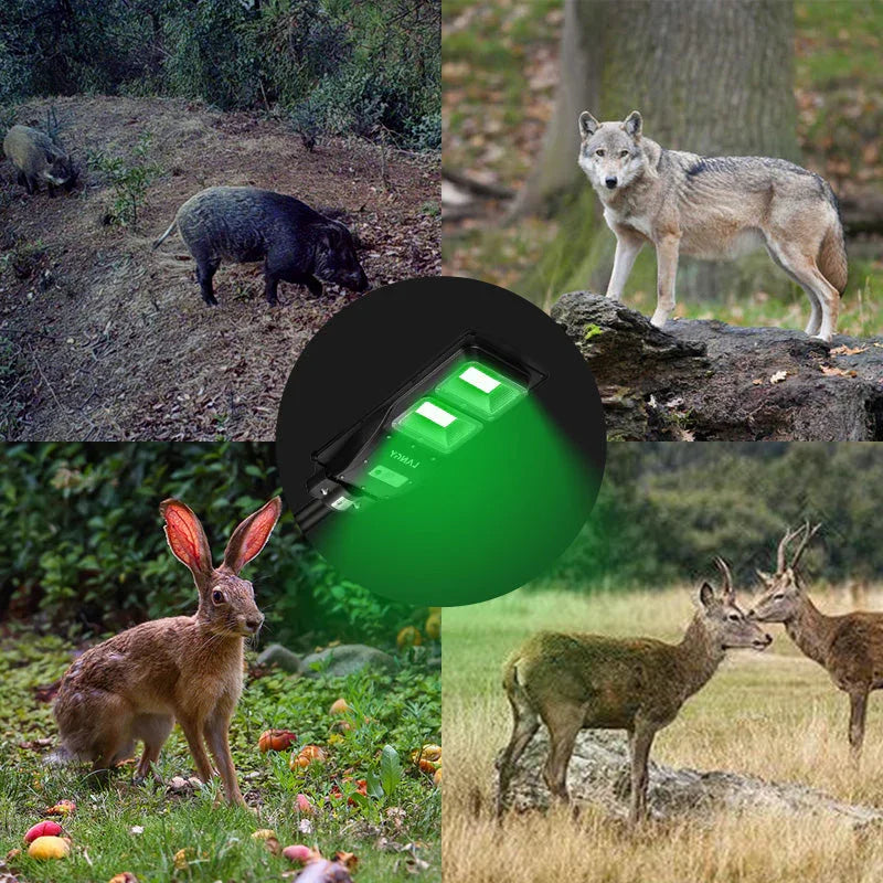 Solar Green Feeder Light for Hunting -12,000 lumens
