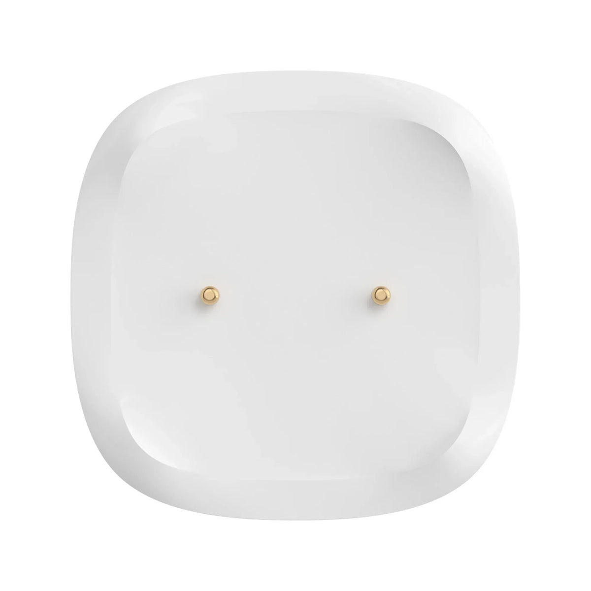 Zigbee Water Leak Sensor IP67 for Kitchen Bathroom Basement