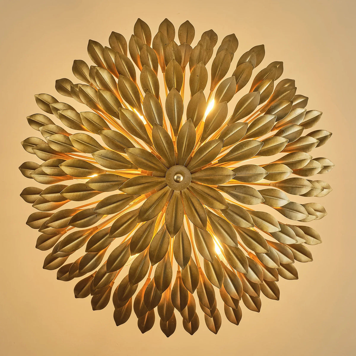 22 Inch Verna Farmhouse 6-Light Golden Chandelier