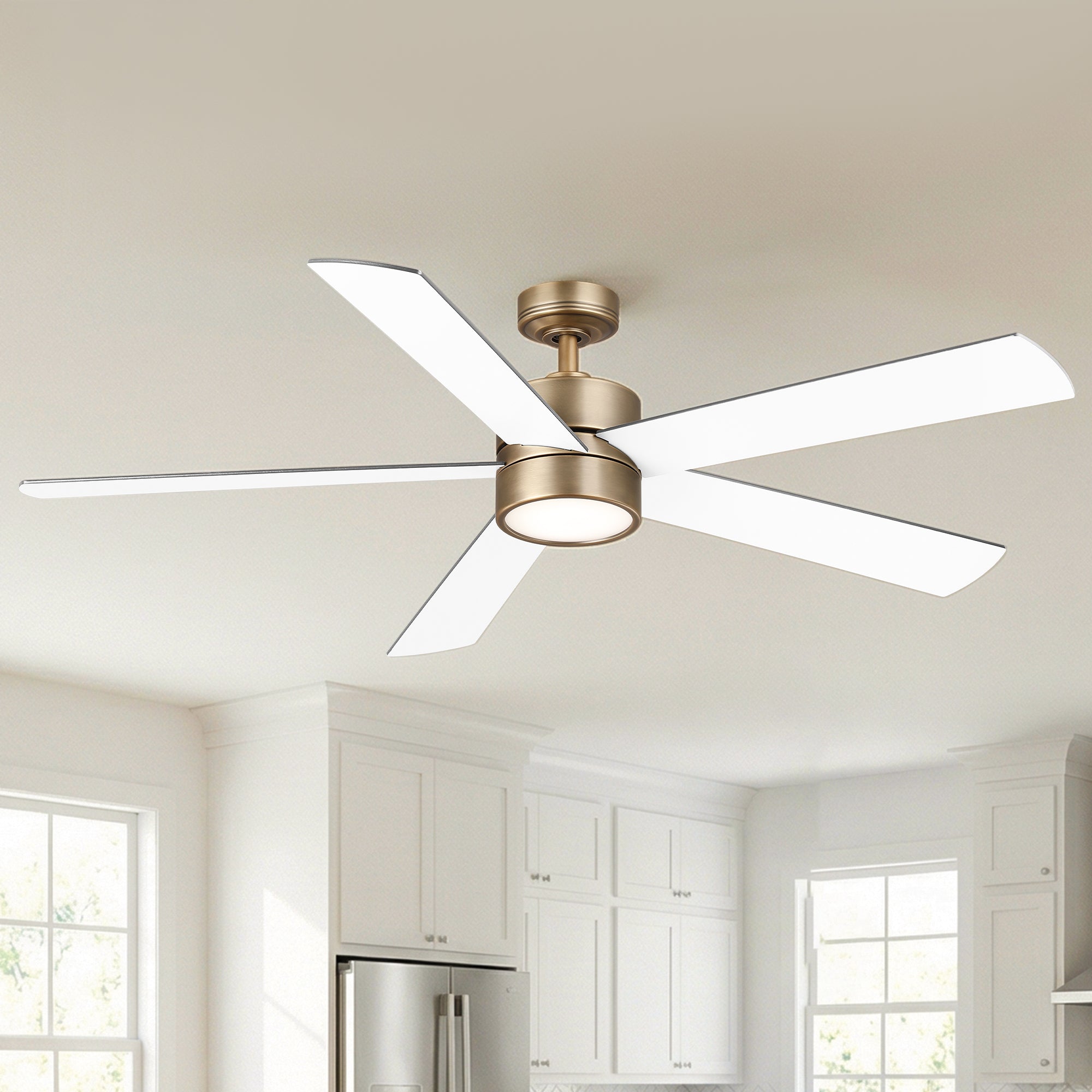 60" Adair Double-sided Blades Downrod Mount LED Ceiling Fan