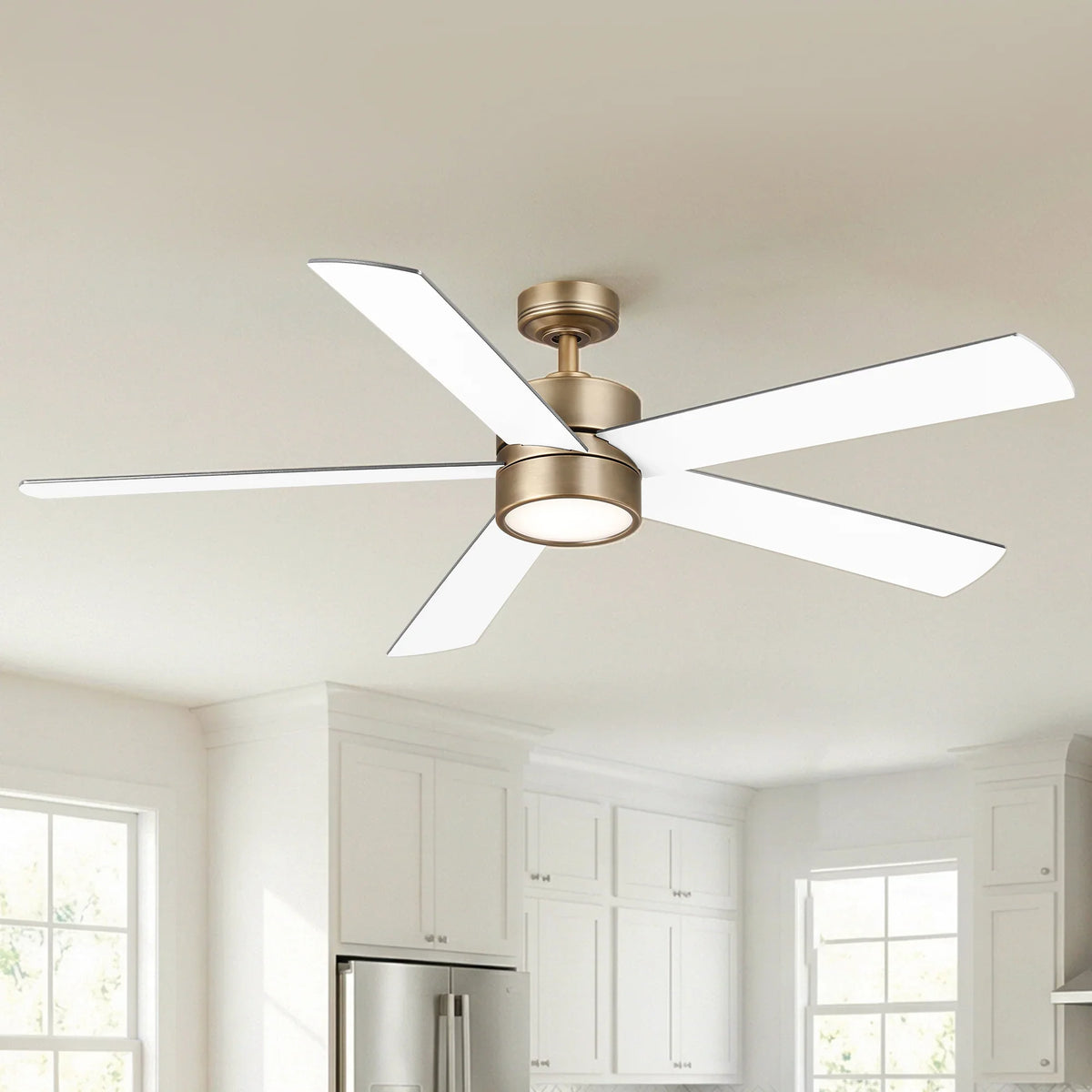 60" Adair Double-sided Blades Downrod Mount LED Ceiling Fan