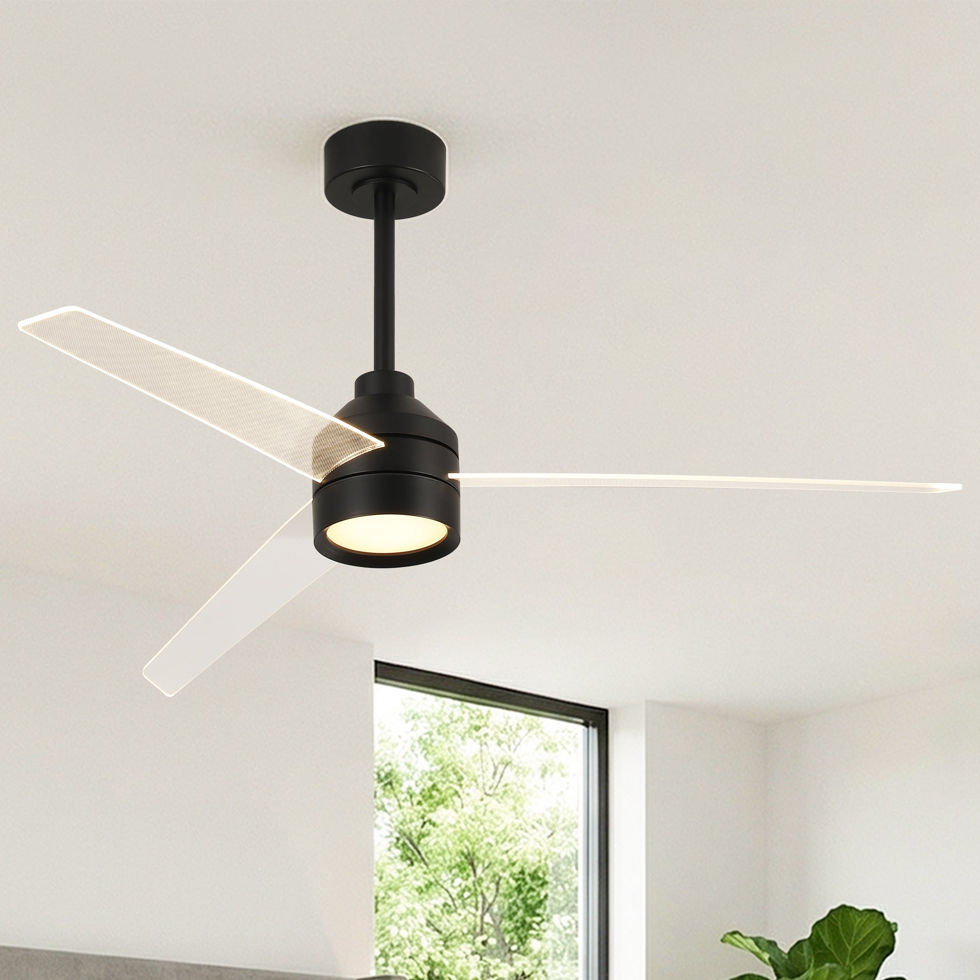 55" Xenia Black Downrod Mount LED Ceiling Fan with Clear Blades