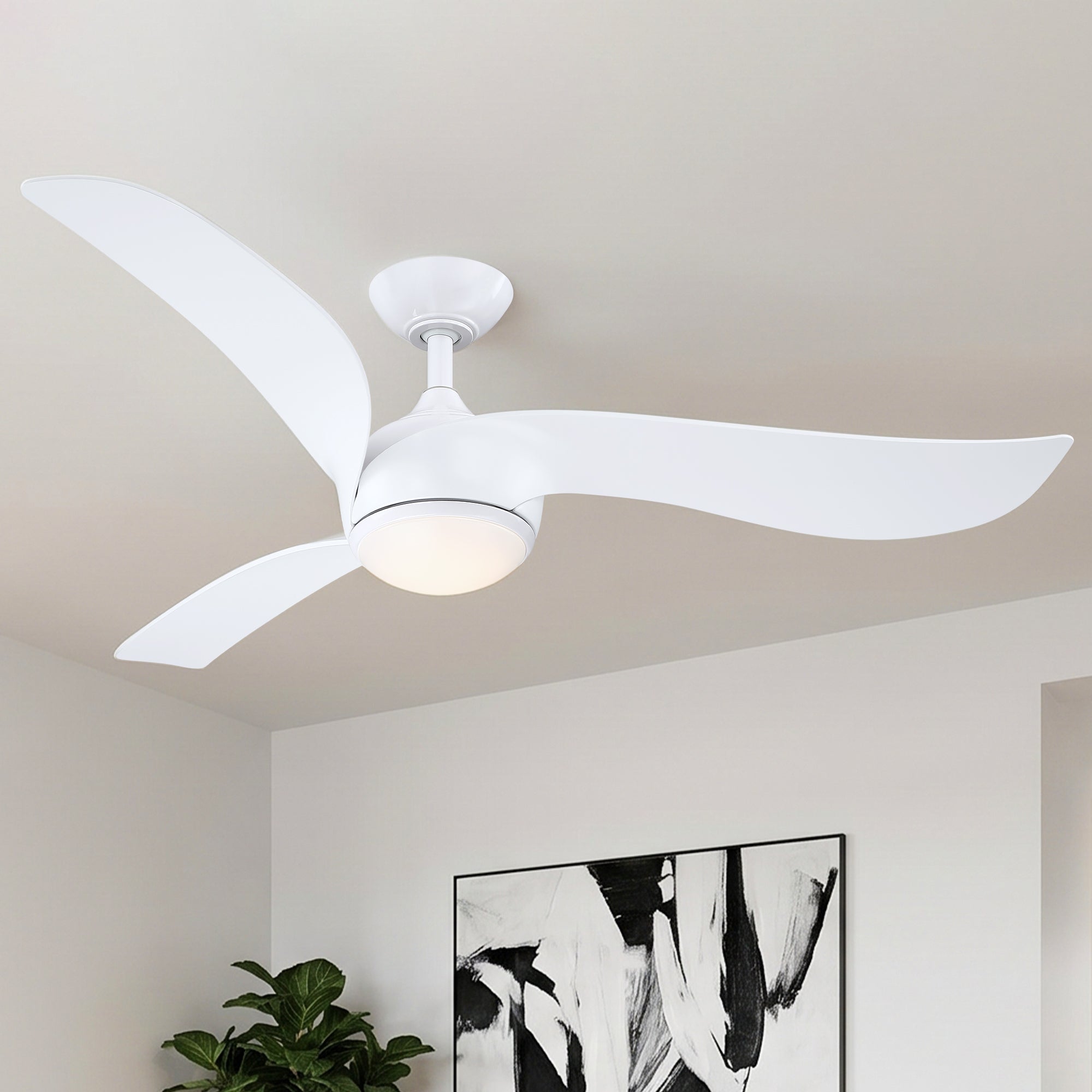 F6069