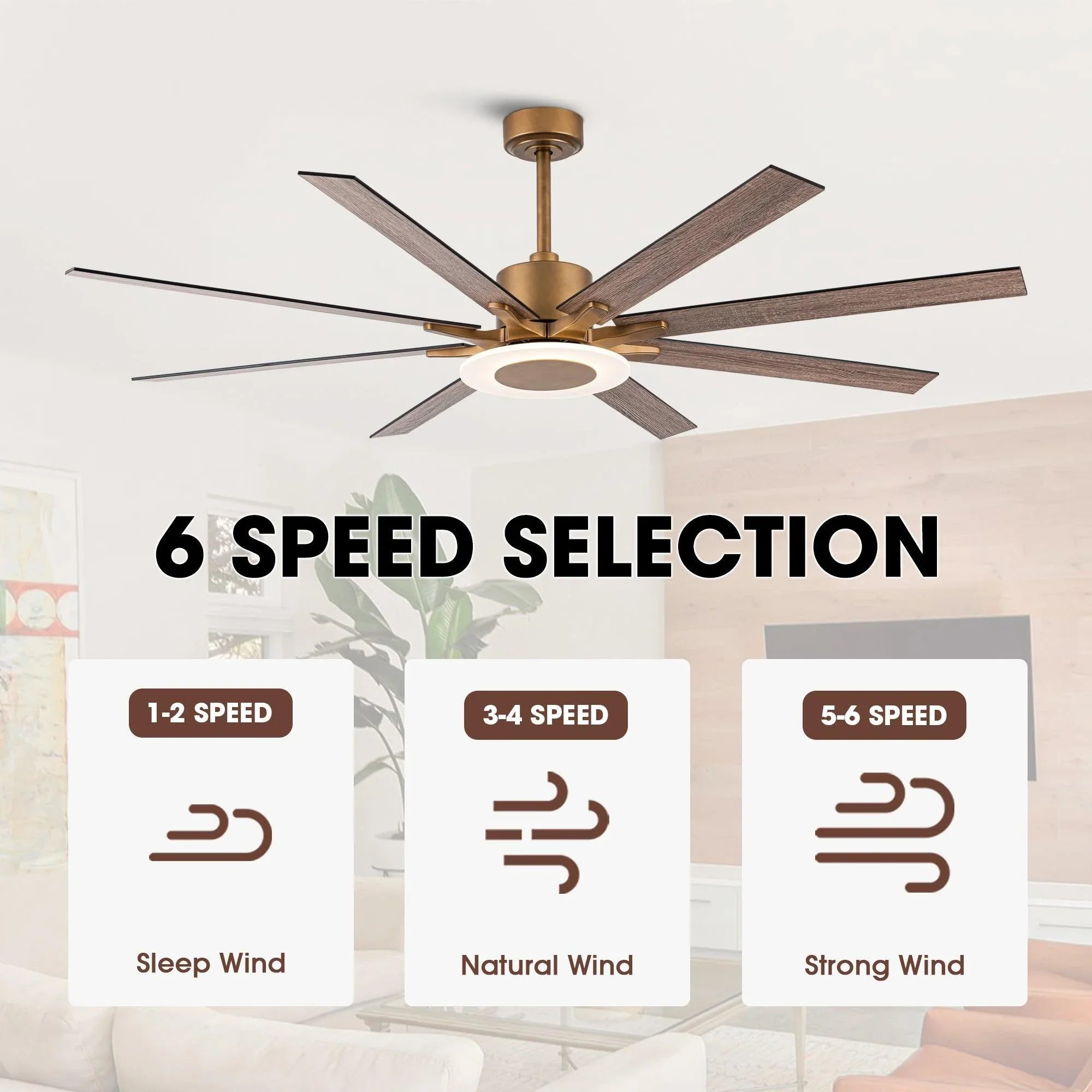 65" Modern Downrod Mount Reversible Ceiling Fan with Led Lighting and Remote Control