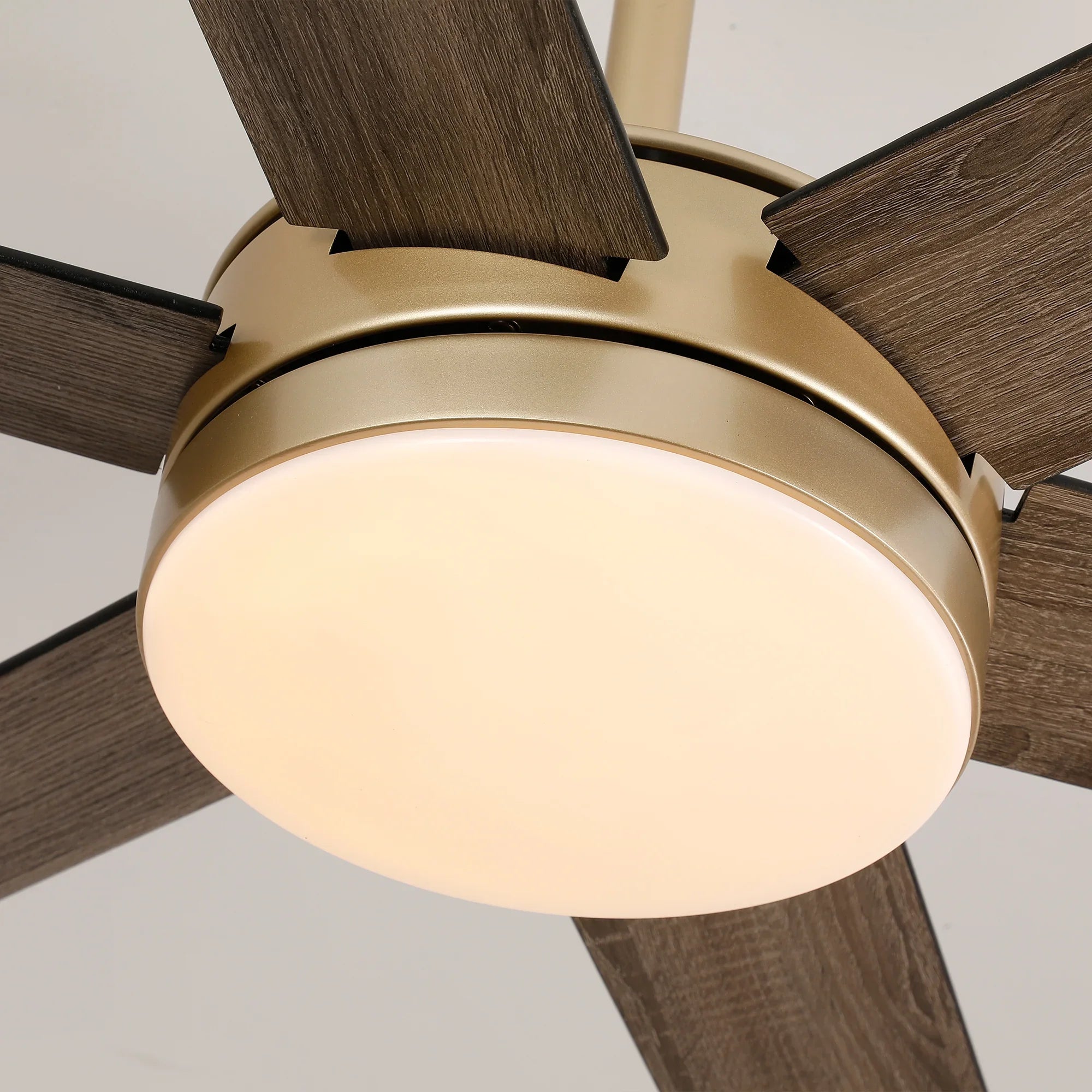 60" Volga DC Motor 6 Blades Modern Downrod Mount Ceiling Fan with Remote Control