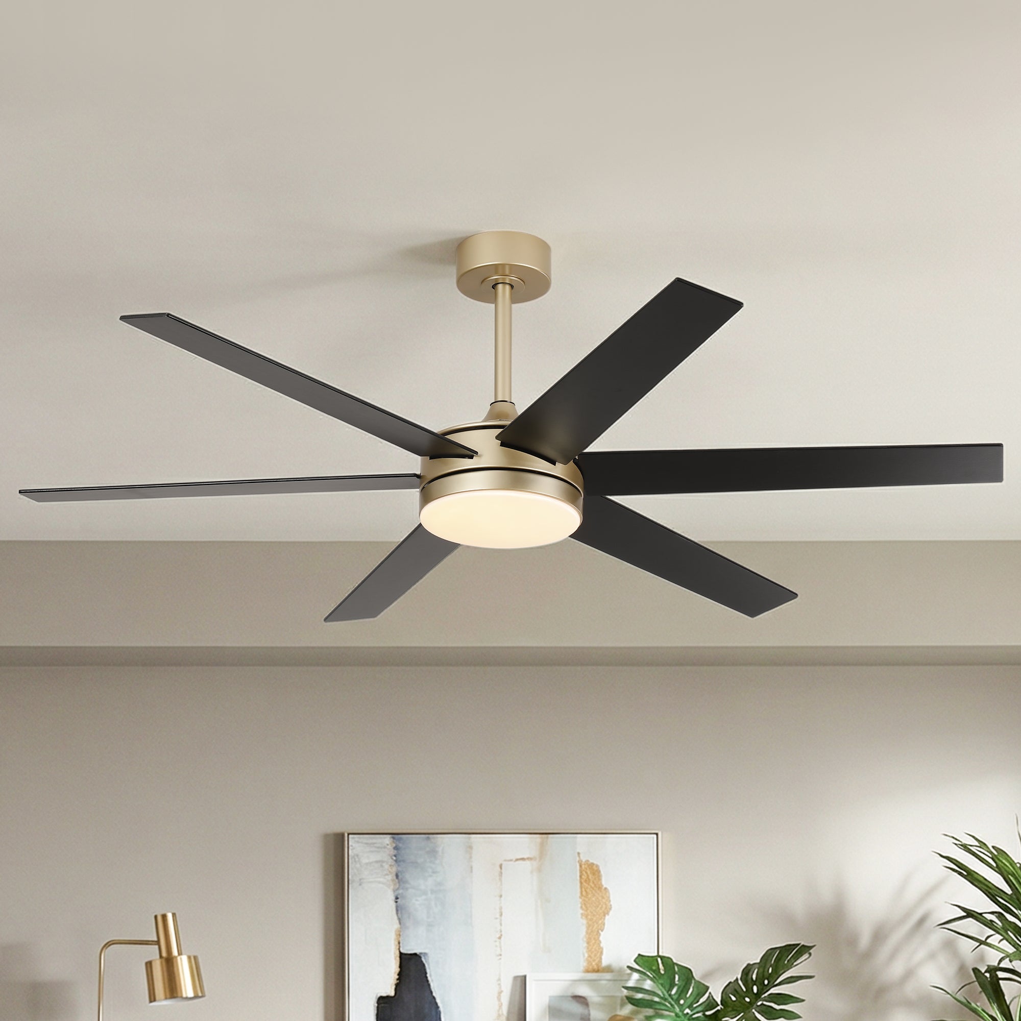 60" Volga DC Motor 6 Blades Modern Downrod Mount Ceiling Fan with Remote Control