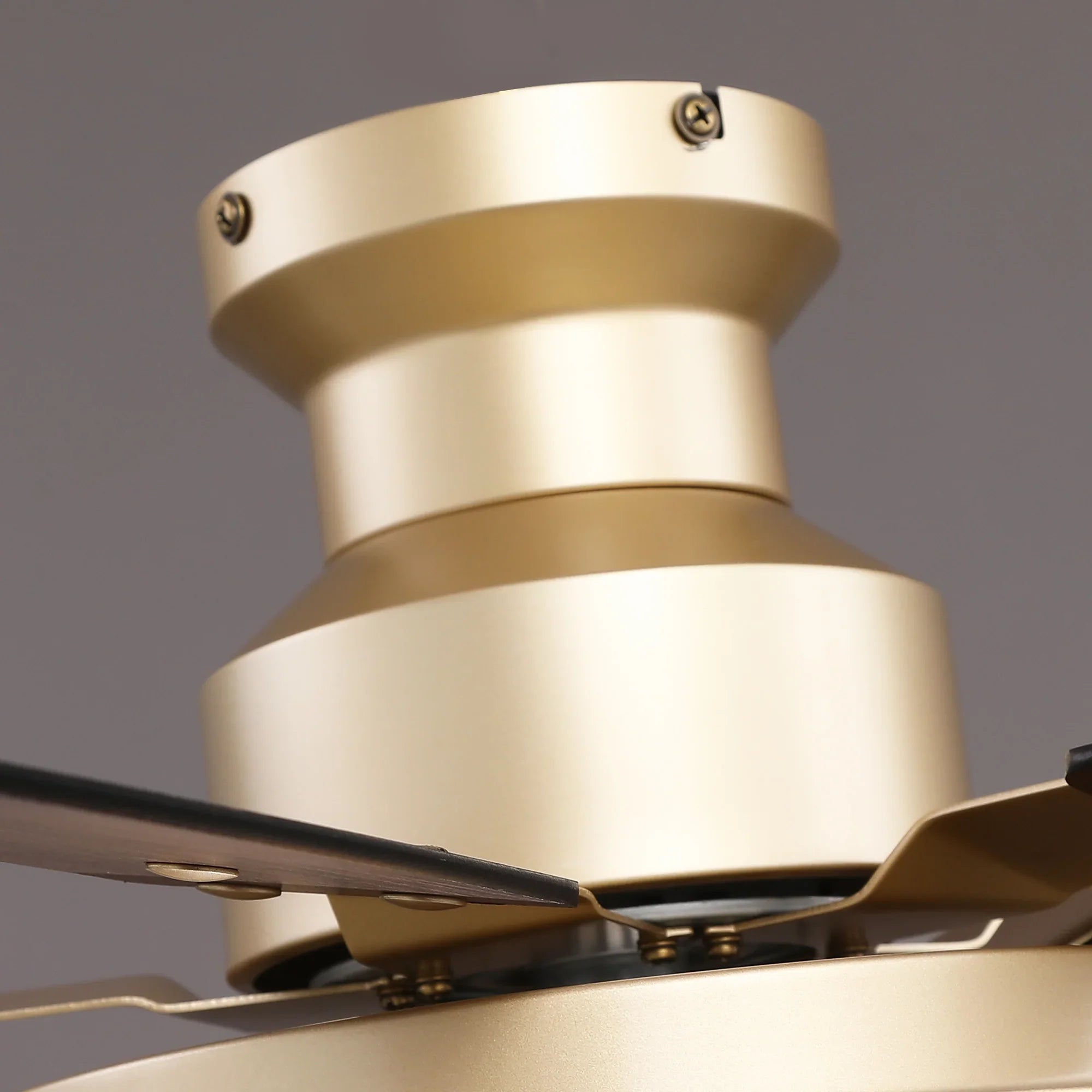 Vaczon 52" Riva Double-sided Blades LED Flush mount Ceiling Fan