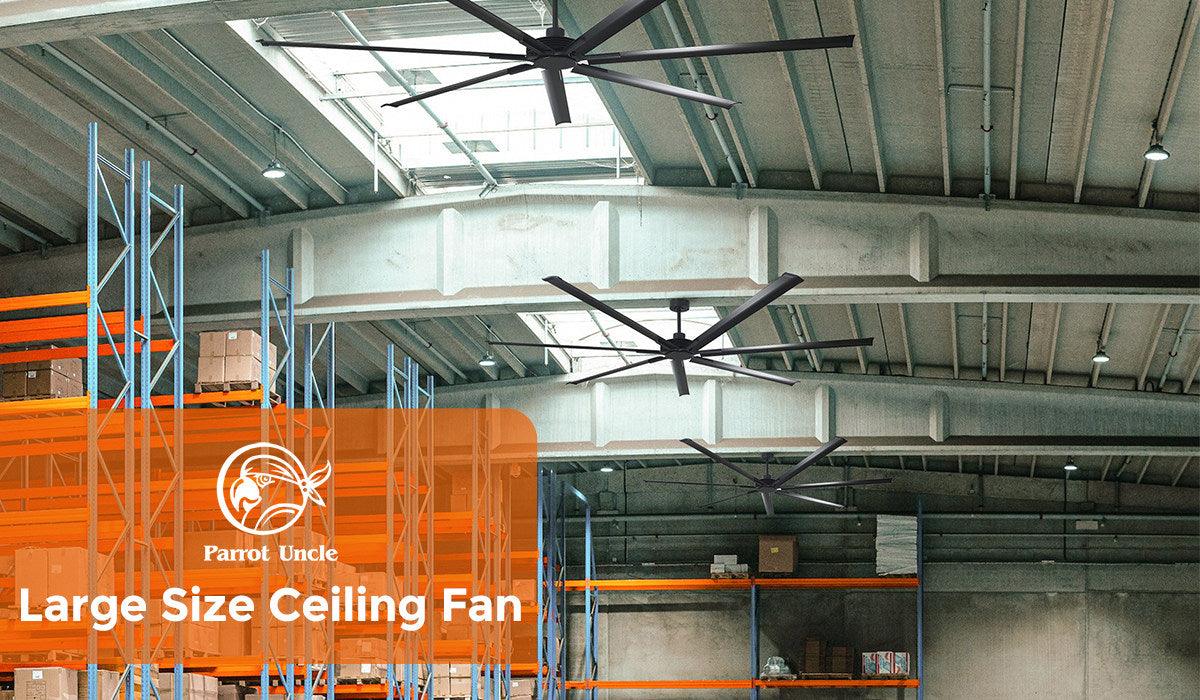 Why Your Large Space Needs a Large Ceiling Fan -Parrot Uncle