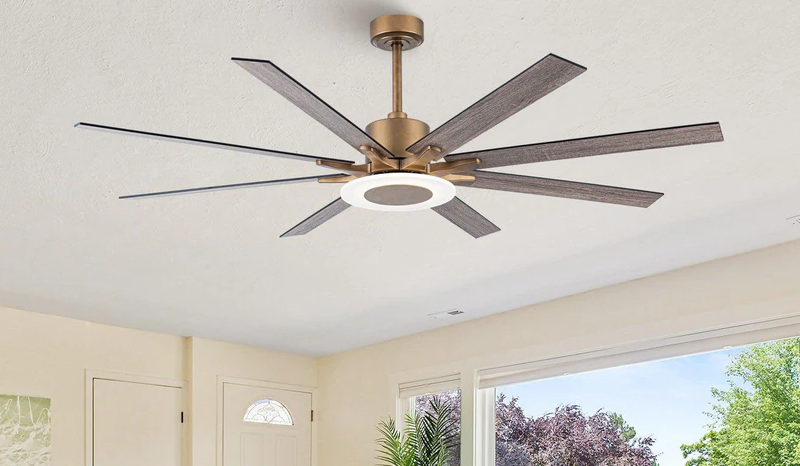 Reversible Ceiling Fan Direction: Summer and Winter -Parrot Uncle
