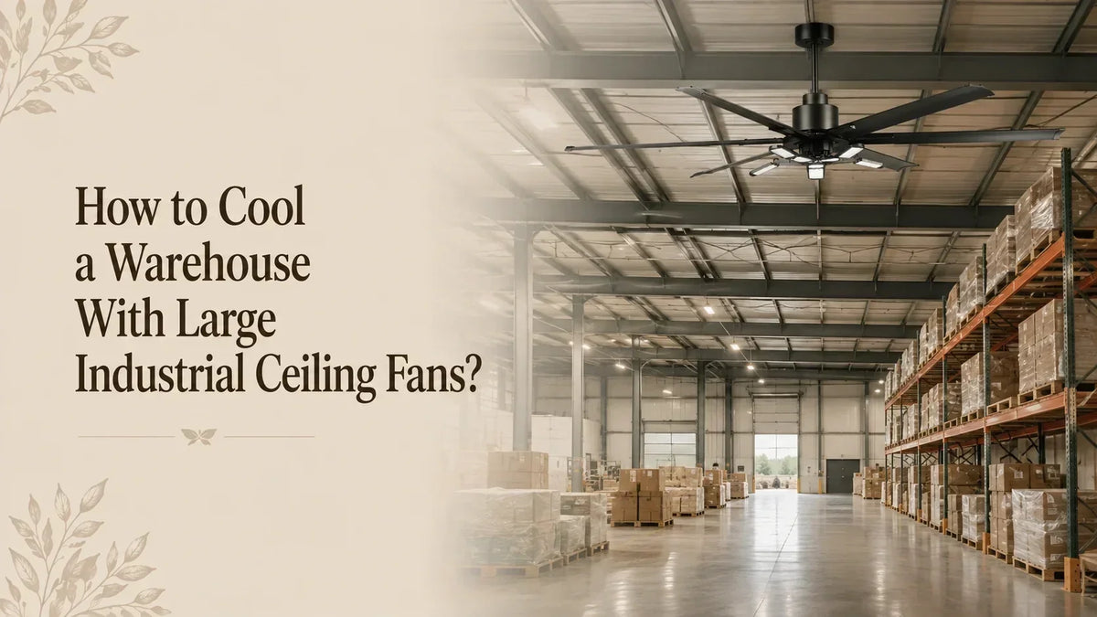 How to Cool a Hot Garage With a Ceiling Fan？ -Parrot Uncle