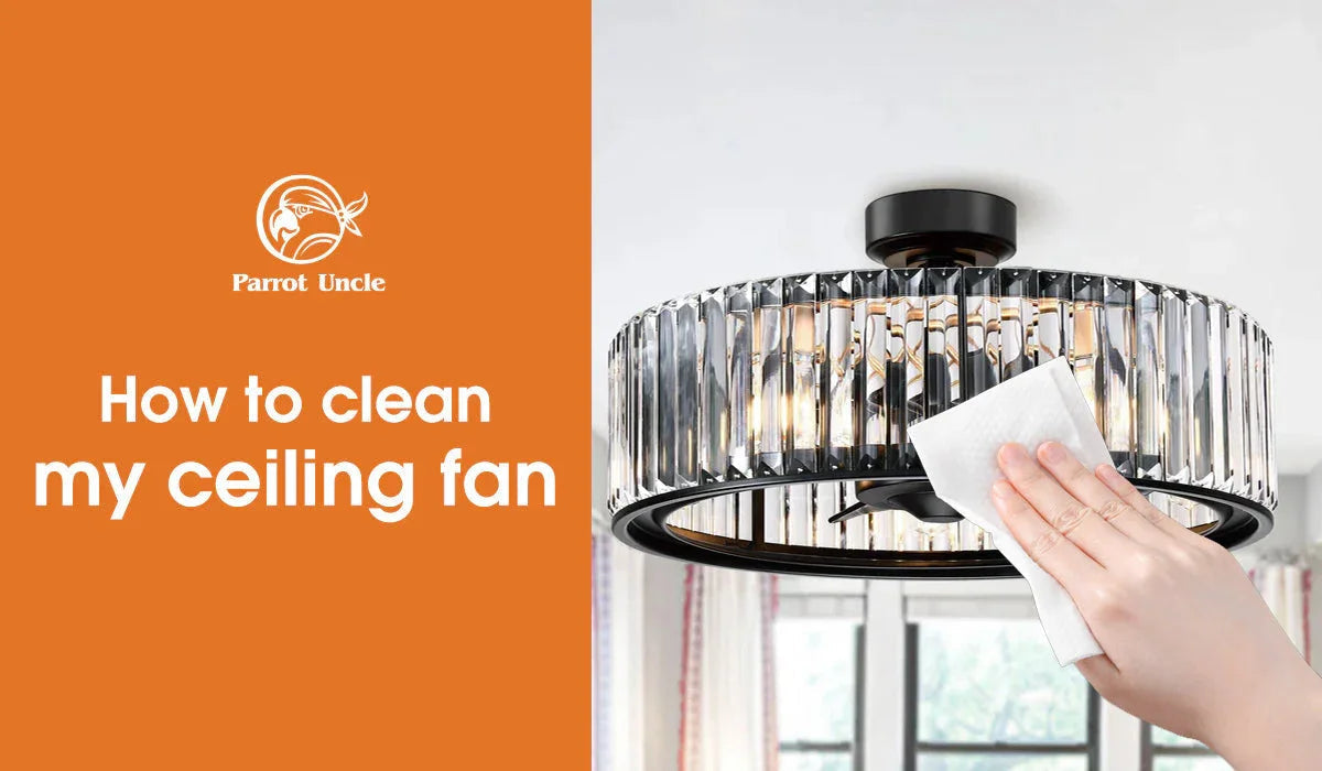 How to Clean Your Ceiling Fan: 7 Easy Steps! -Parrot Uncle