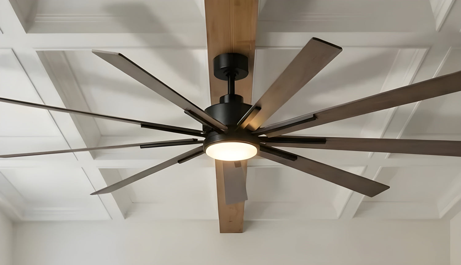 Should You Use a Large or Small Ceiling Fan in a Living Room? -Parrot Uncle