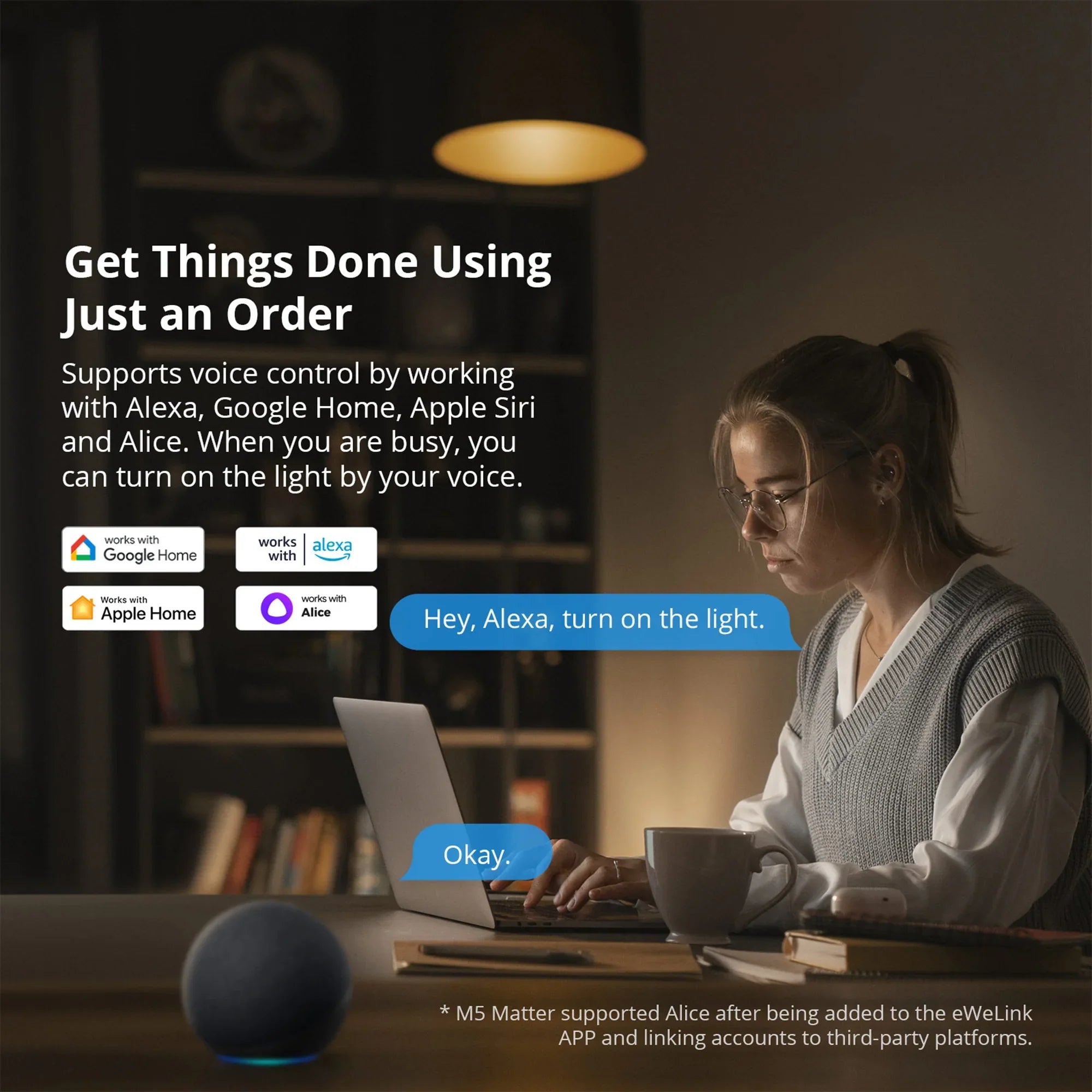 SwitchMan Smart Wall Switch-M5 Matter