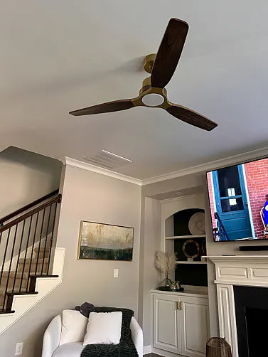Parrot Uncle home