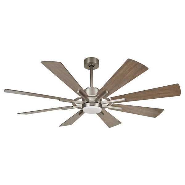 Large Fan
