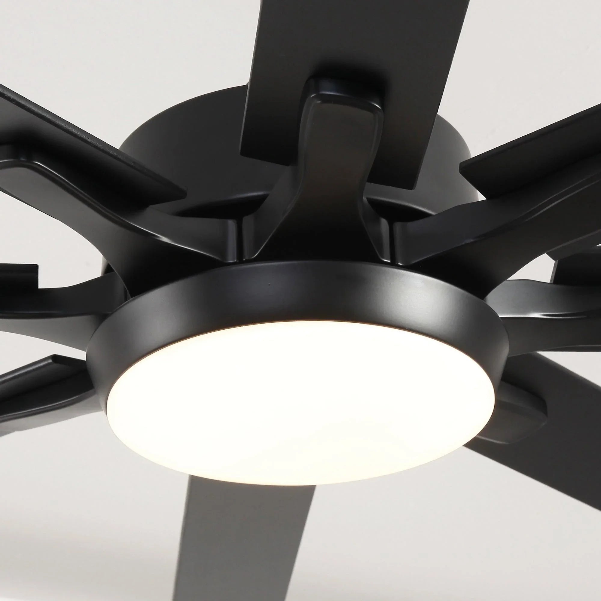 65 Inch Teresa Modern Double-sided Blades Ceiling Fan with Remote Control and LED Light