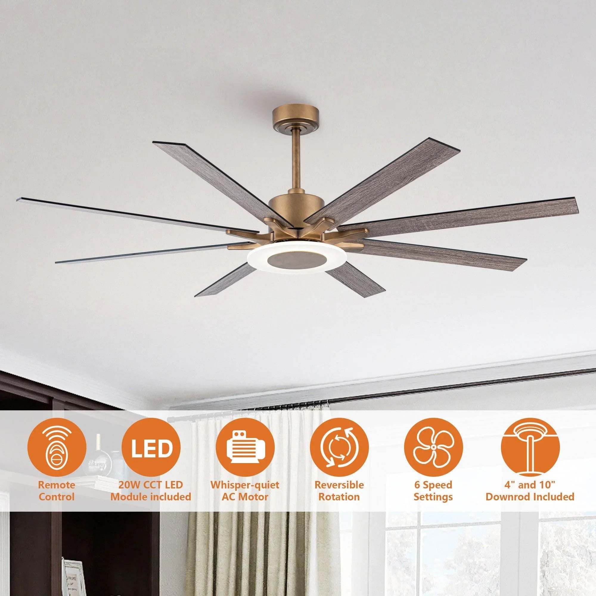 65" Modern Downrod Mount Reversible Ceiling Fan with Led Lighting and Remote Control
