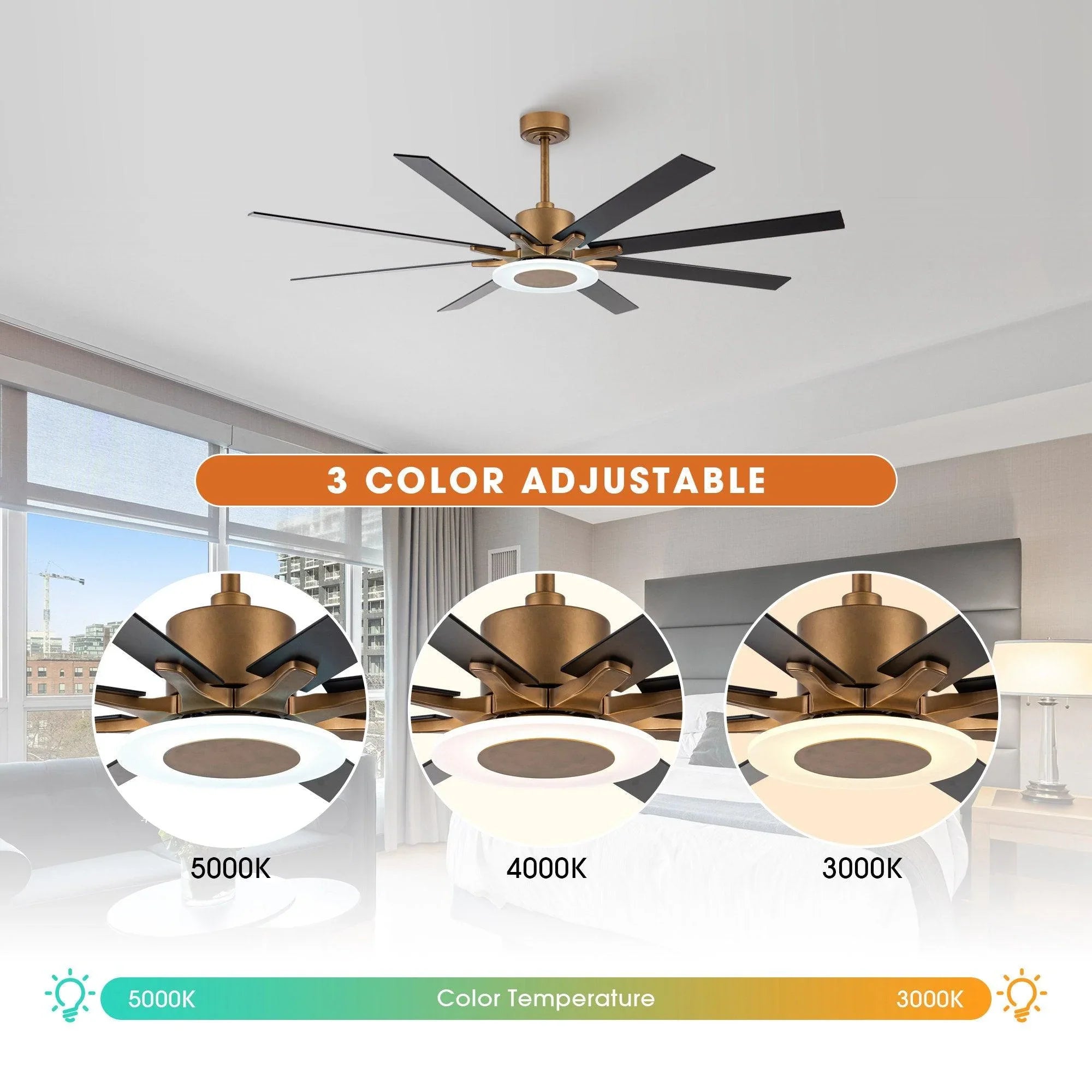 65" Modern Downrod Mount Reversible Ceiling Fan with Led Lighting and Remote Control