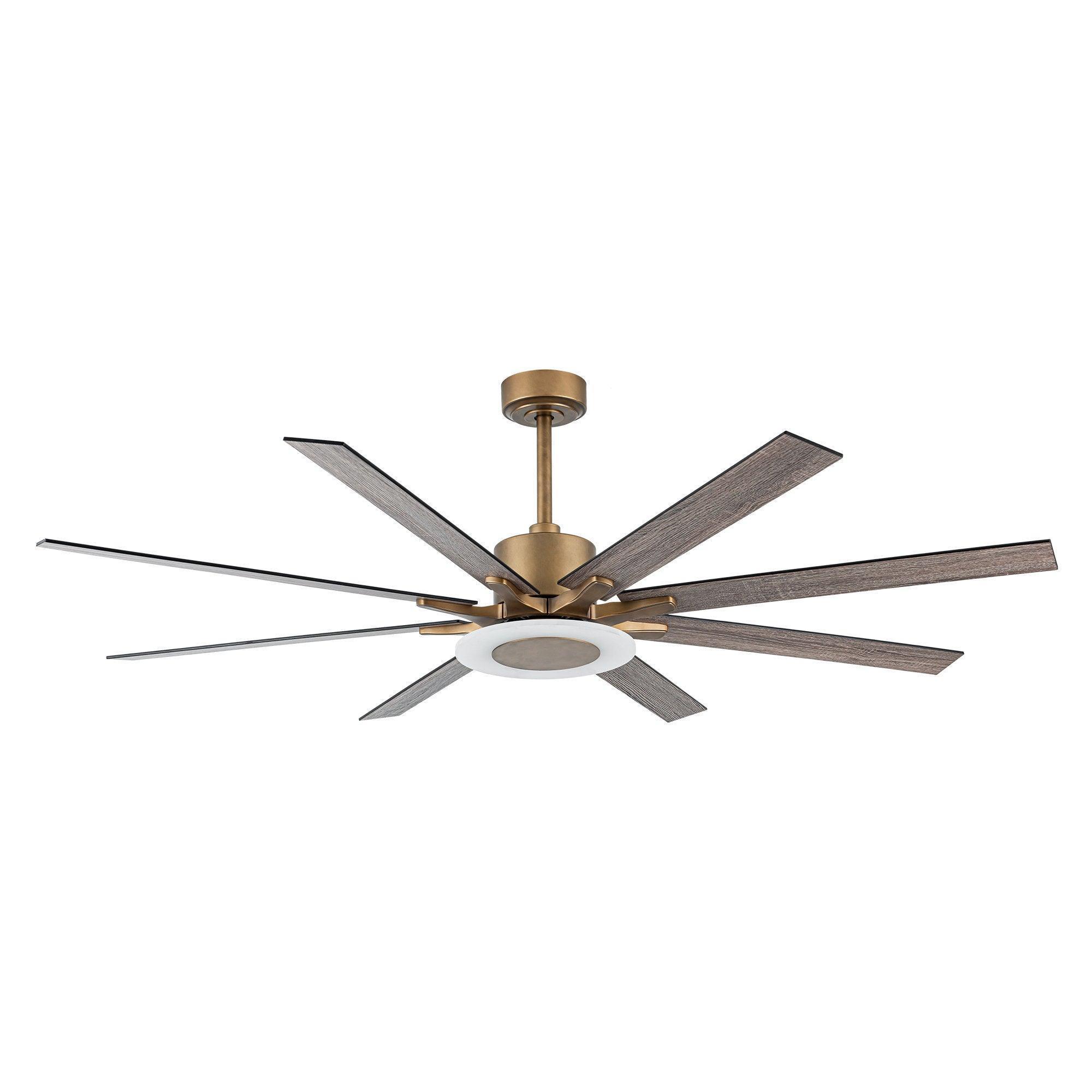 65" Modern Downrod Mount Reversible Ceiling Fan with Led Lighting and Remote Control