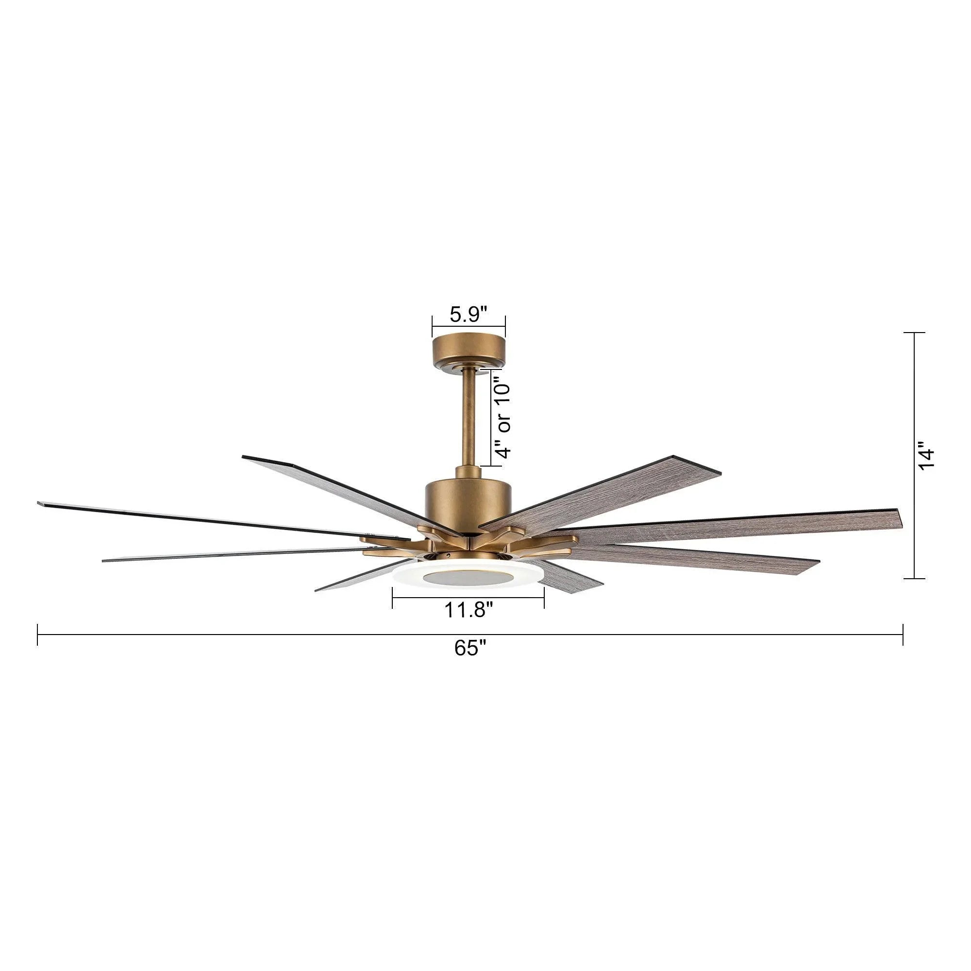 65" Modern Downrod Mount Reversible Ceiling Fan with Led Lighting and Remote Control