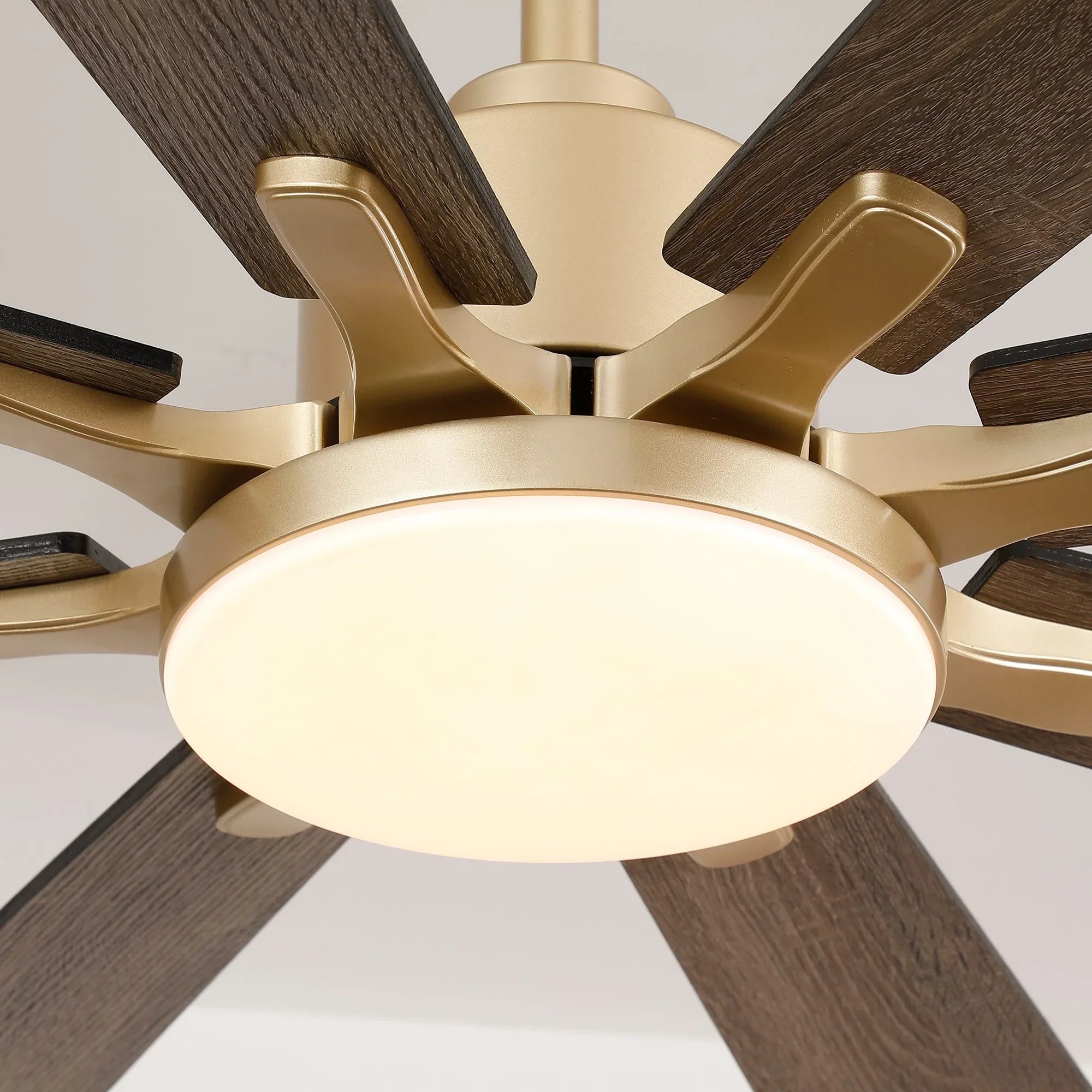 72 Inch Elbe Modern Downrod Mount Ceiling Fan with Light and Remote Control