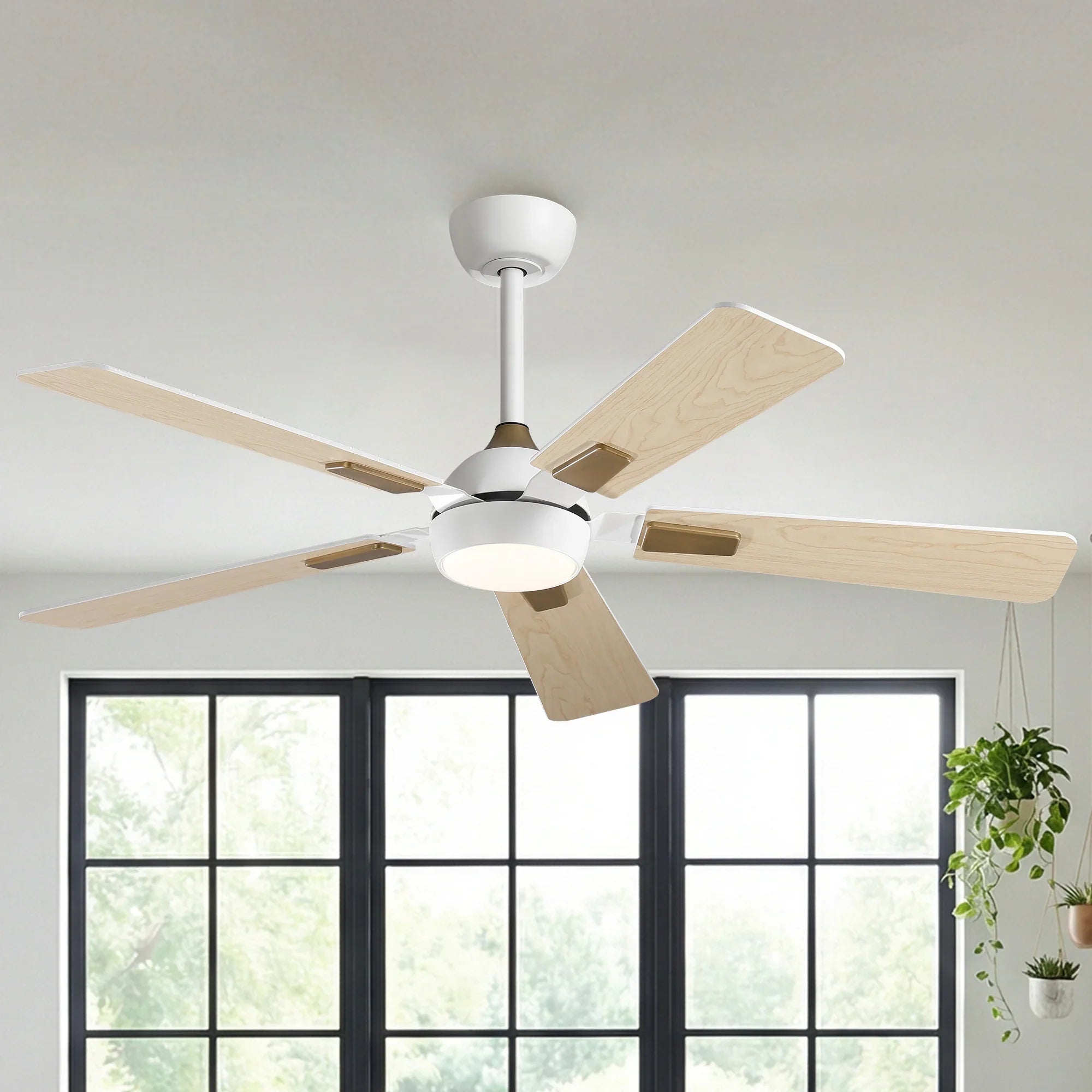 VZA01A125BK/VZA01A125GD/VZA01A125WH