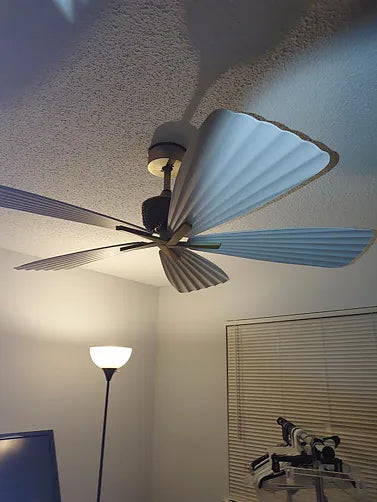 Parrot Uncle home
