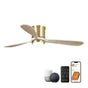 Quiet Fan